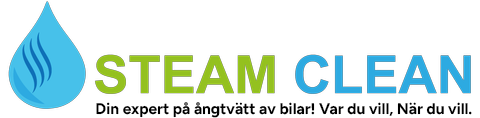 Steam Clean logo
