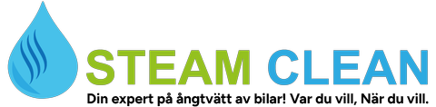 Steam Clean logo